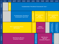 Breakdown of the Columbia Bassett Program curriculum by month and year,